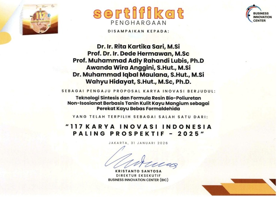 WhatsApp Image 2026-02-16 at 17.11.01